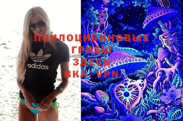 гашишное масло Краснослободск